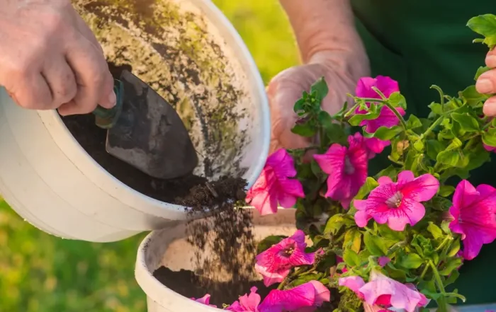 Spring Time Fun at Assisted Living Communities